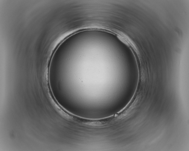 X0000115791388200911131259