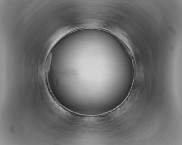 X0000115791389200911131259