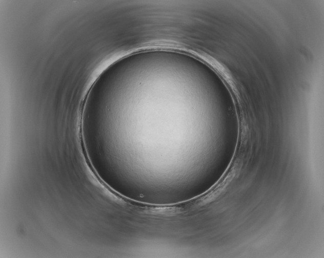 X0000115791390200911131259