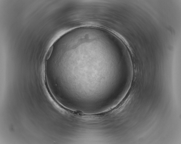 X0000115791391200911131259