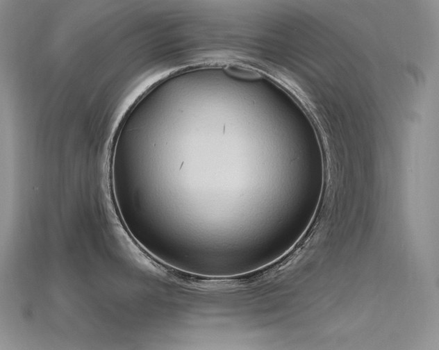 X0000115791392200911131259