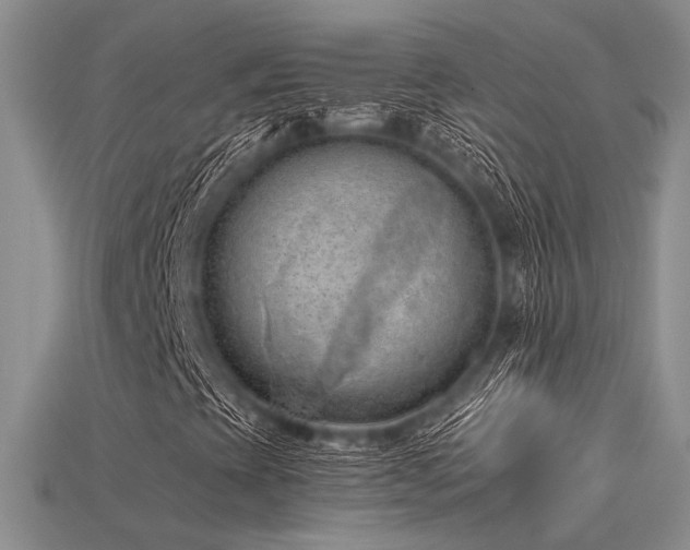 X0000115791393200911131258