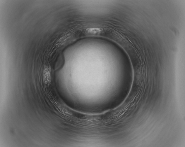 X0000115791394200911131258
