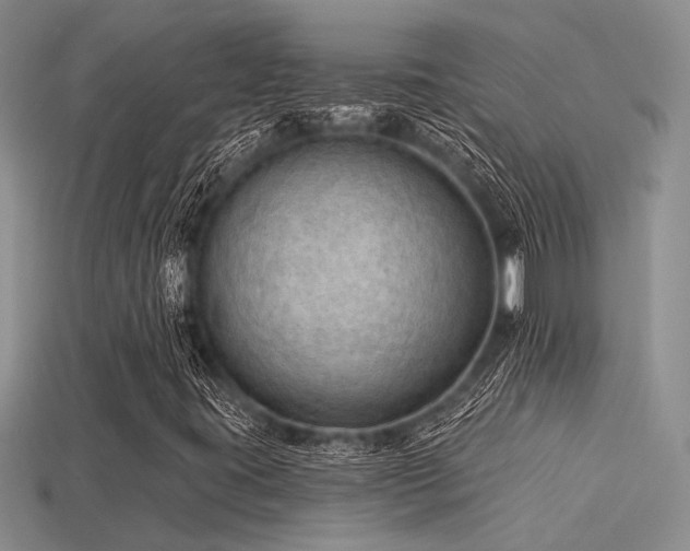 X0000115791395200911131258