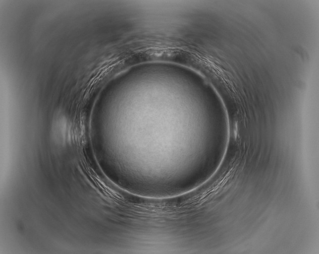 X0000115791396200911131258