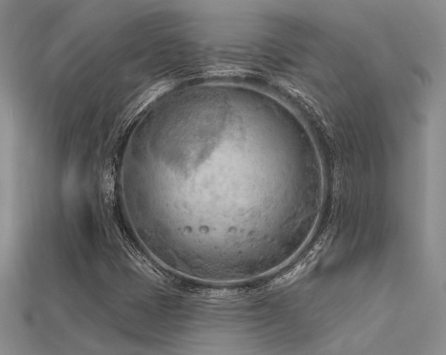 X0000115791401200911131259