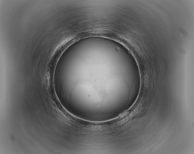 X0000115791402200911131259