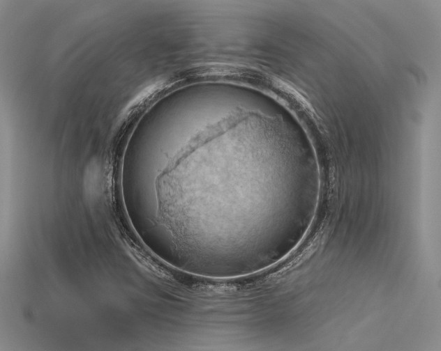 X0000115791403200911131259