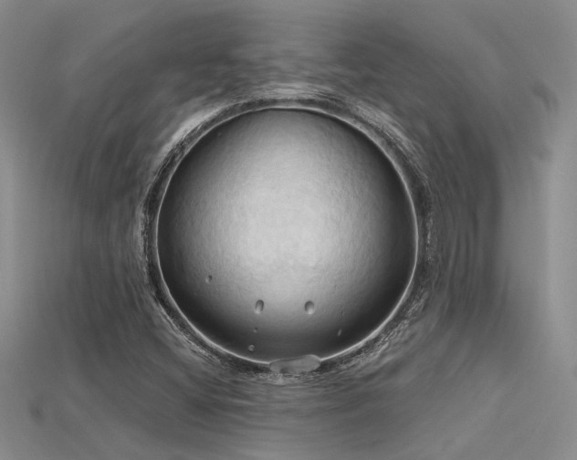 X0000115791404200911131259
