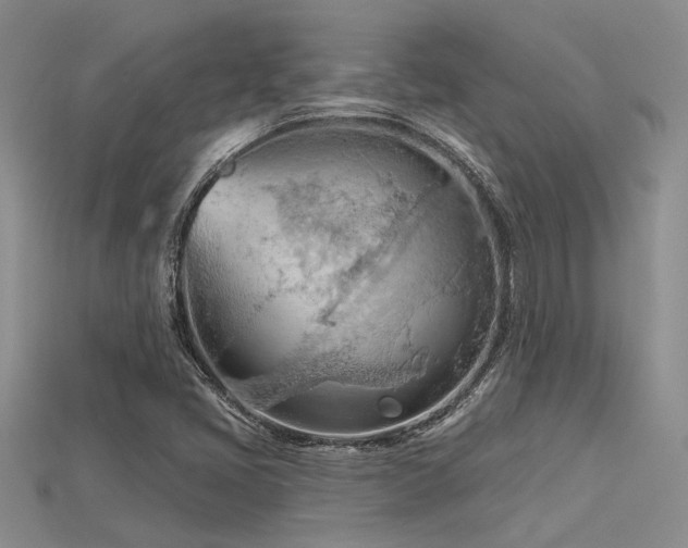 X0000115791405200911131259