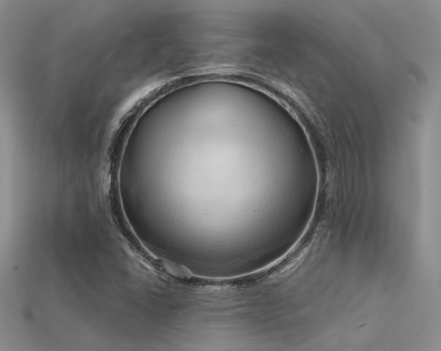 X0000115791406200911131259