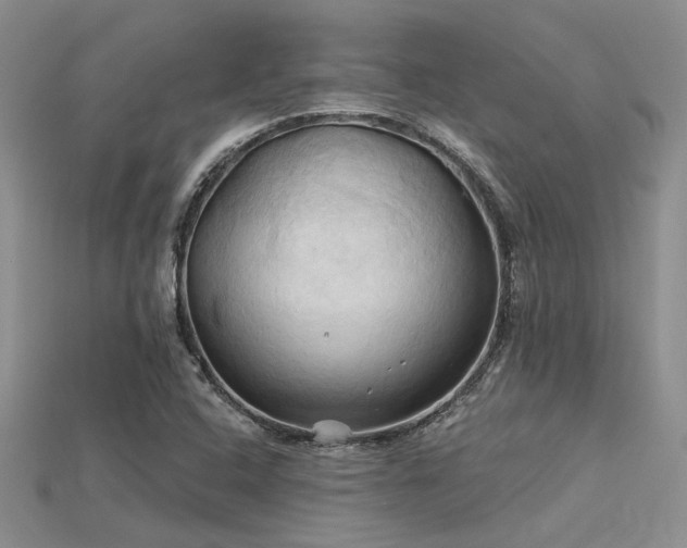 X0000115791408200911131259