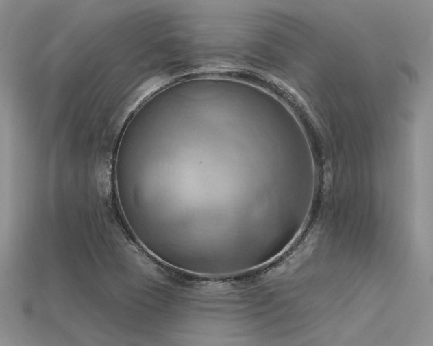 X0000115791409200911131259