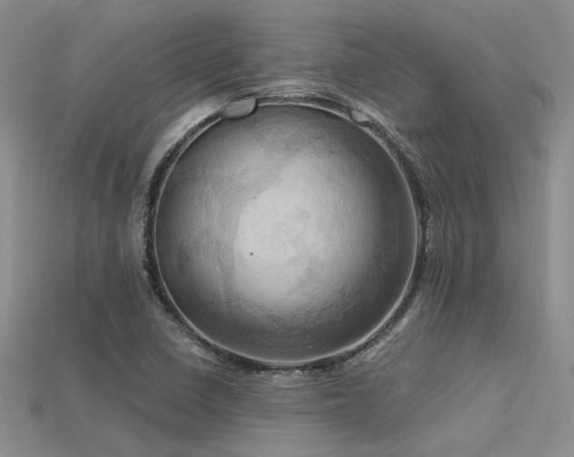 X0000115791410200911131259