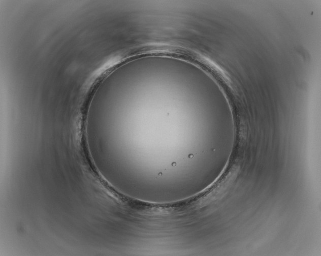 X0000115791411200911131259