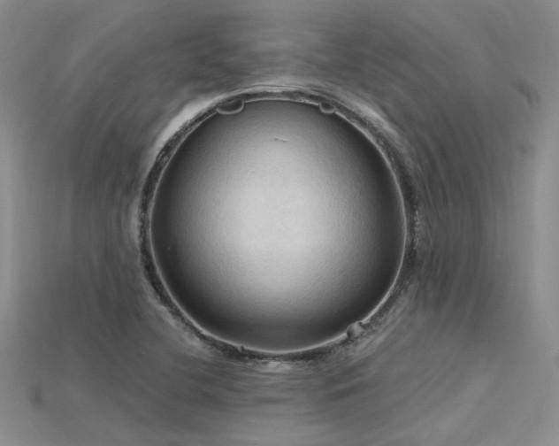 X0000115791412200911131259