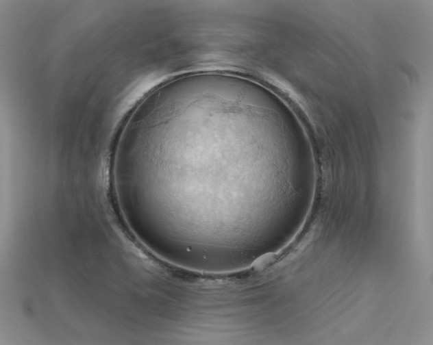 X0000115791415200911131259