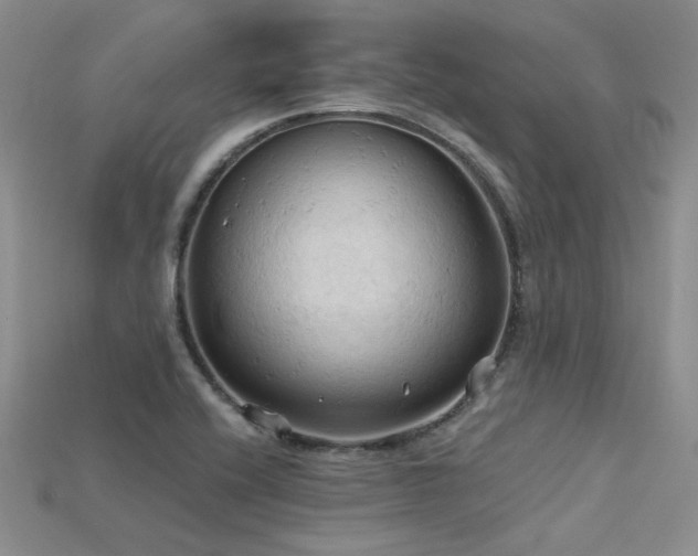 X0000115791416200911131259
