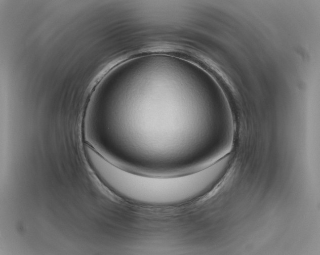 X0000115791417200911131259