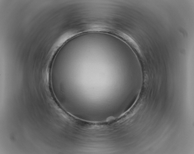 X0000115791419200911131259