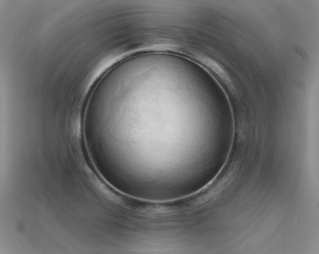 X0000115791420200911131259