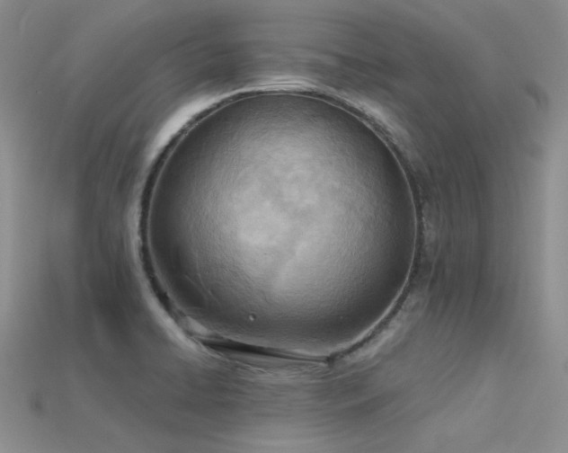 X0000115791422200911131259