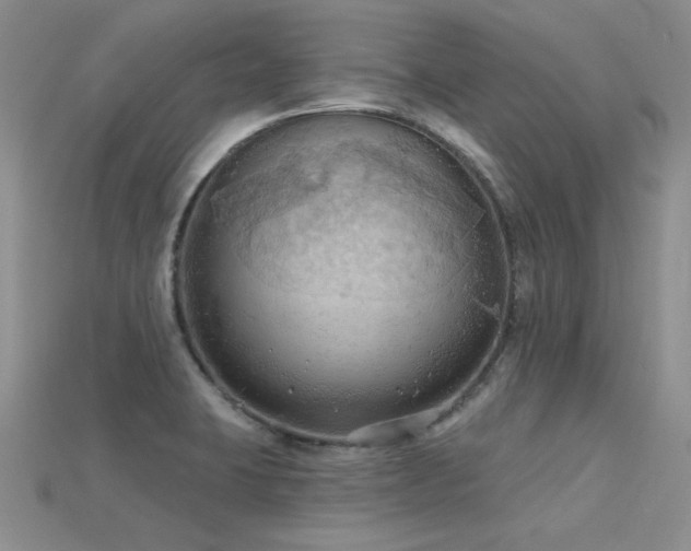 X0000115791423200911131259