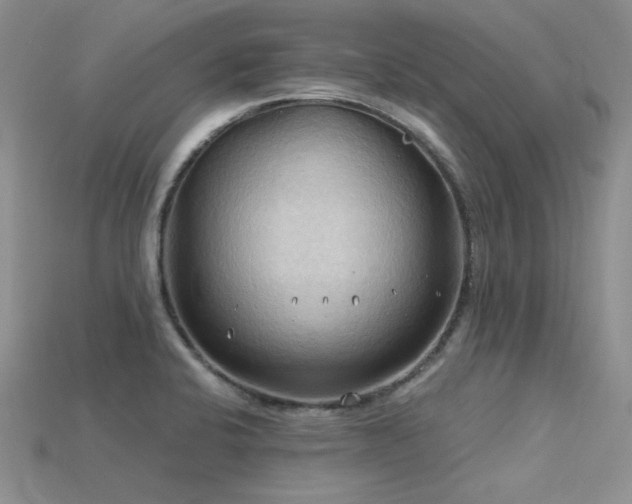 X0000115791424200911131259