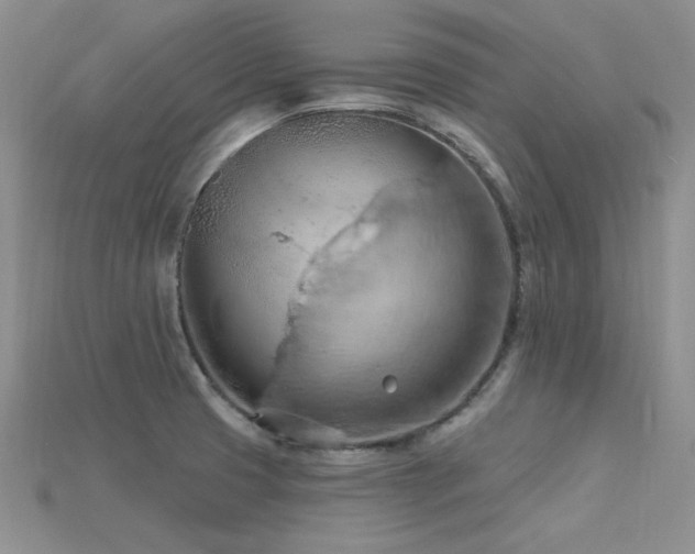 X0000115791425200911131259