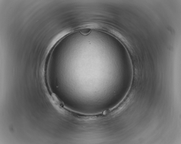 X0000115791426200911131259