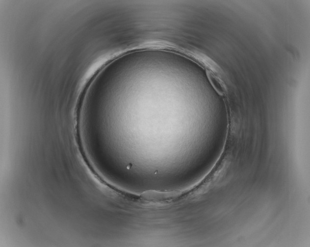 X0000115791430200911131259