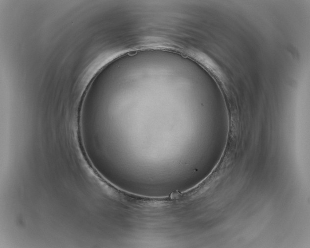 X0000115791431200911131259