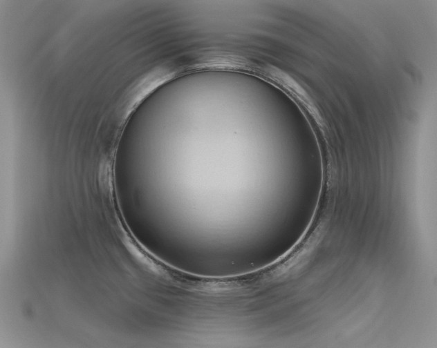 X0000115791433200911131259
