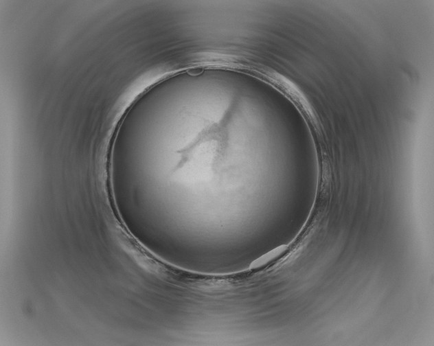 X0000115791435200911131259
