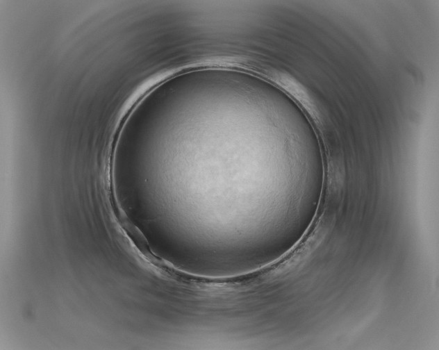 X0000115791436200911131259