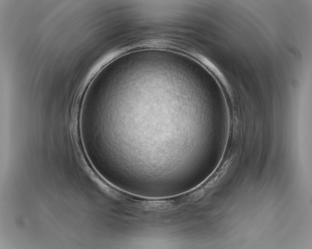 X0000115791437200911131259