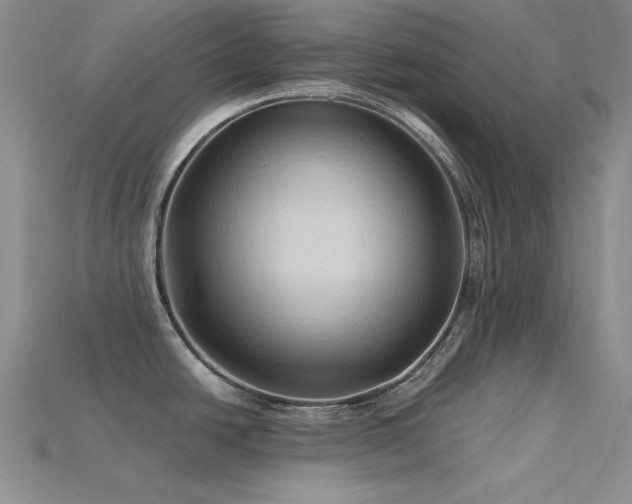 X0000115791438200911131259