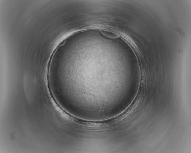 X0000115791439200911131259