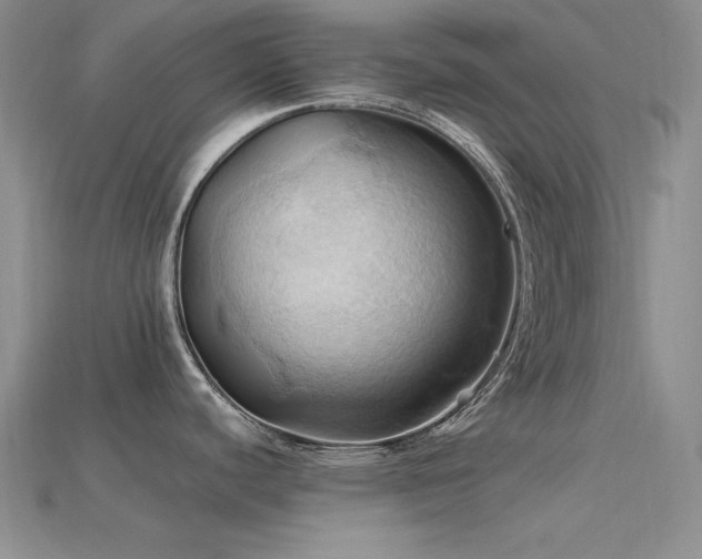 X0000115791440200911131259
