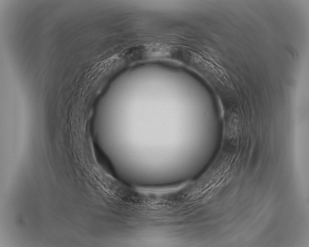 X0000115791441200911131258