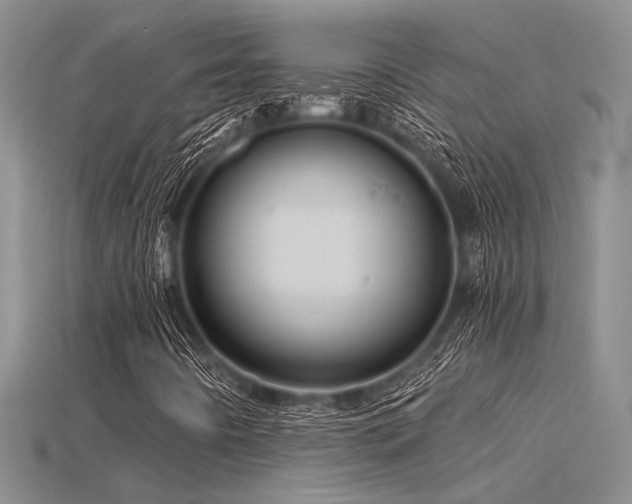X0000115791442200911131258