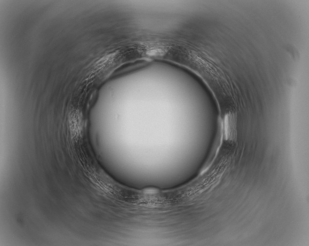 X0000115791443200911131258