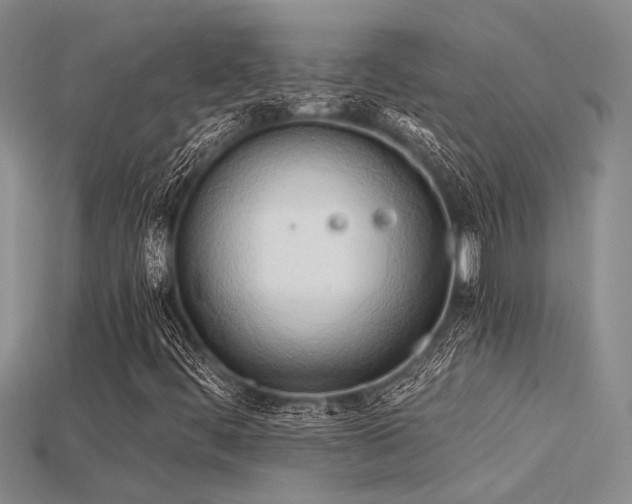 X0000115791444200911131258
