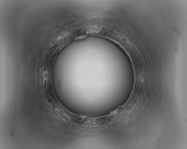 X0000115791445200911131258