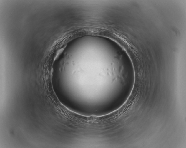 X0000115791447200911131258