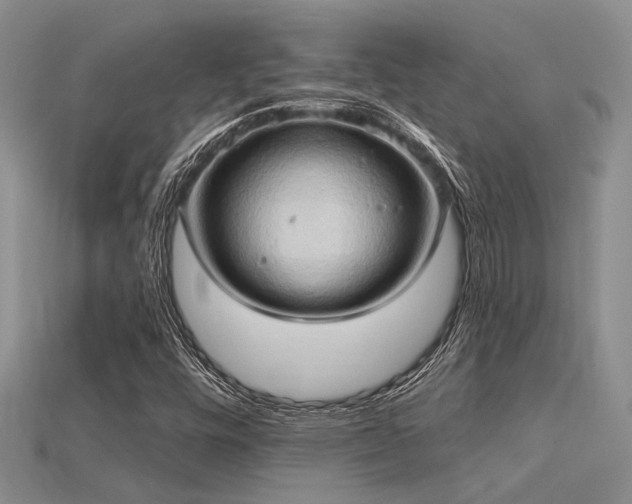 X0000115791448200911131258