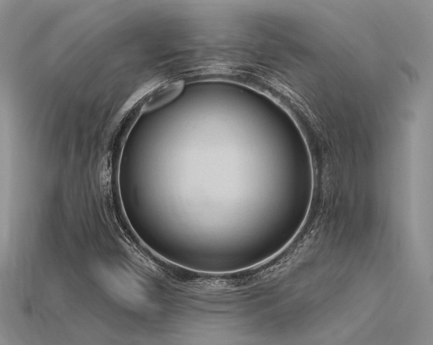 X0000115791450200911131258