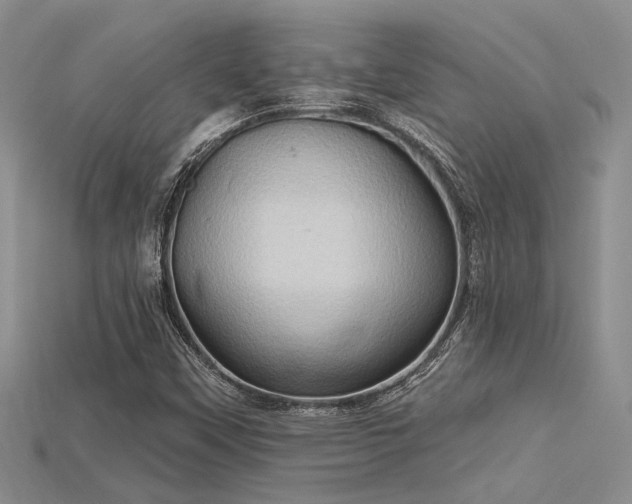 X0000115791451200911131258