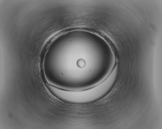X0000115791452200911131258