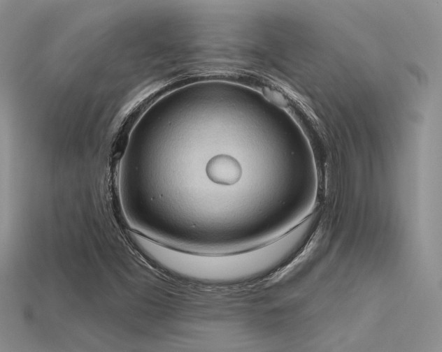 X0000115791453200911131258